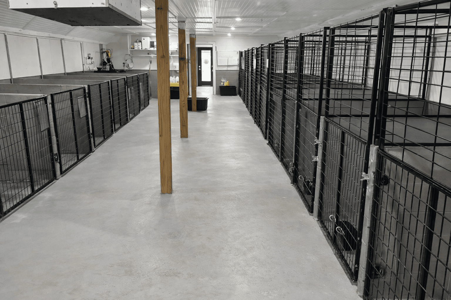 Rows of black metal dog kennels line a clean, well-lit indoor facility with concrete flooring.